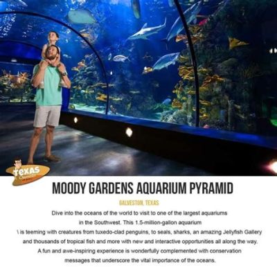  Le Moody Gardens: Un Aquarium Extraordinaire et une Experience Spatiale Inoubliable!