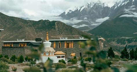 Le Temple des Trois Étoiles : un sanctuaire mystique au cœur de la nature verdoyante !